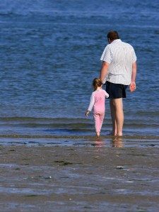 Credit : Marilyn Barbone / Dreamstine Stock Photos